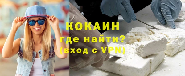 стафф Алексин