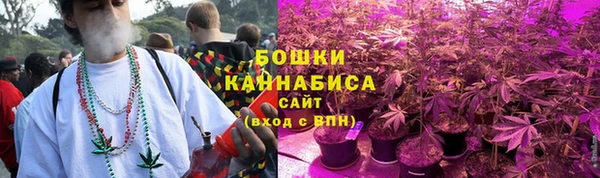 ГАЛЛЮЦИНОГЕННЫЕ ГРИБЫ Алексеевка