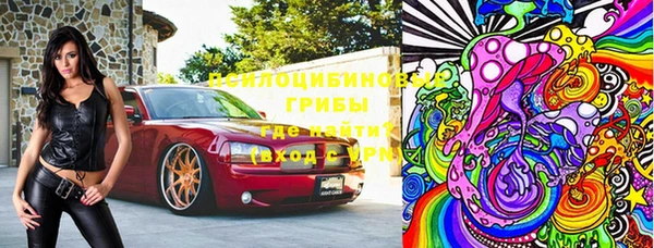 стафф Алексин
