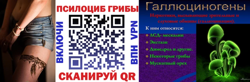 Псилоцибиновые грибы Psilocybine cubensis Чёрмоз
