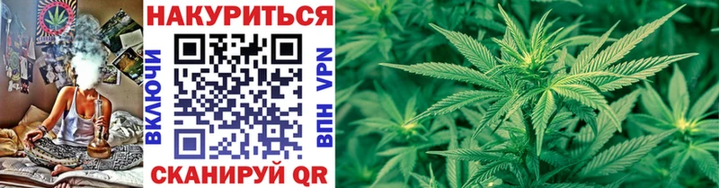 Канабис SATIVA & INDICA  Купить закладки  Чёрмоз 